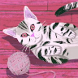 Meet your Posher, Heidi